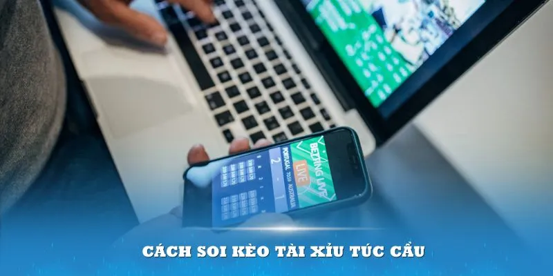 Chi tiết soi kèo Tài Xỉu túc cầu cho người mới