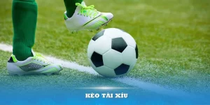 Kèo Tài Xỉu – Kiến thức cần biết để nhanh đạt lợi nhuận cao